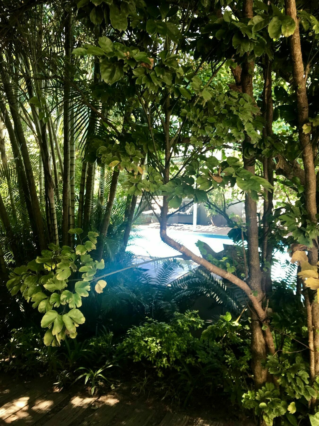 Beach Forest Lodge Ballito Ngoại thất bức ảnh